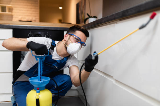 Professional Pest Control in Owasso, OK