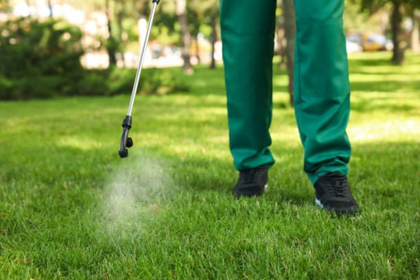 Best Local Pest Control Services  in Owasso, OK