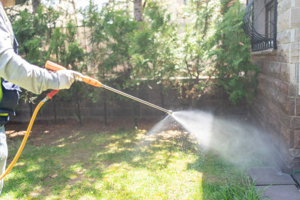 Best Pest Prevention Services  in Owasso, OK