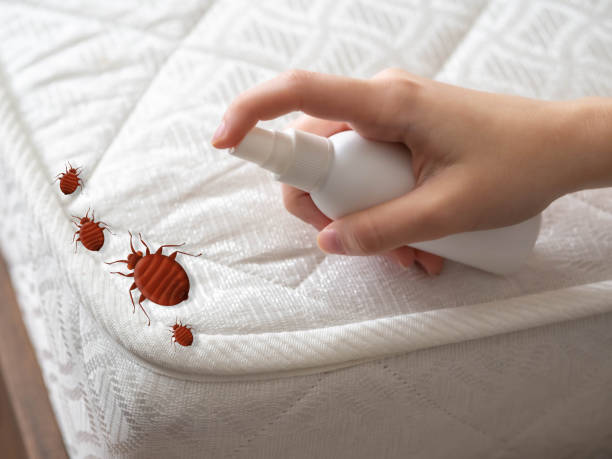 Best Pest Control for Restaurants  in Owasso, OK