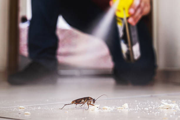 Best Best Pest Control Companies  in Owasso, OK