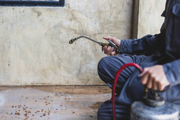 Best Pest Inspection Near Me  in Owasso, OK